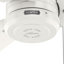 Ventilateur de plafond 36 po Cassius Hunter