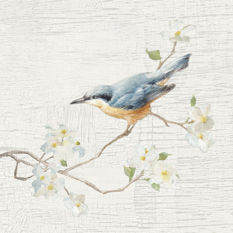 Nuthatch Vintage by Danhui Nai - Wrapped Canvas Art Prints, 30cm H x 30cm W