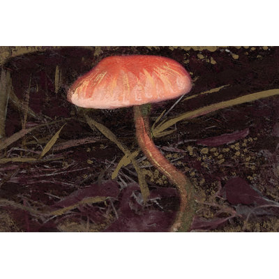 Forest Floor II 1 Piece Wrapped Canvas Painting