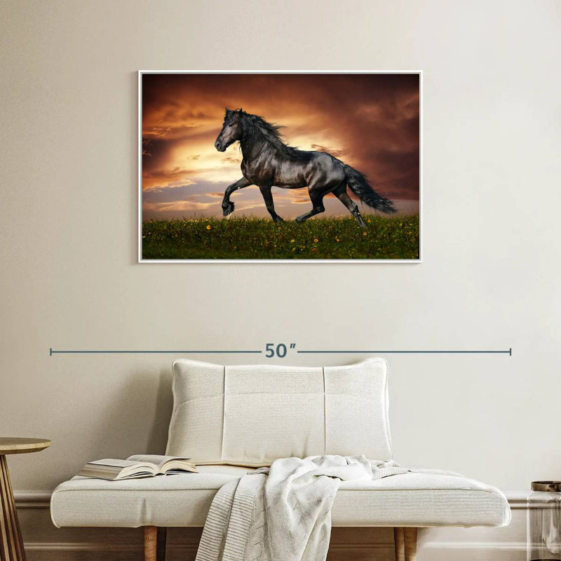 Cheval baroque, Cadre flottant blanc, 37 po x 25 po