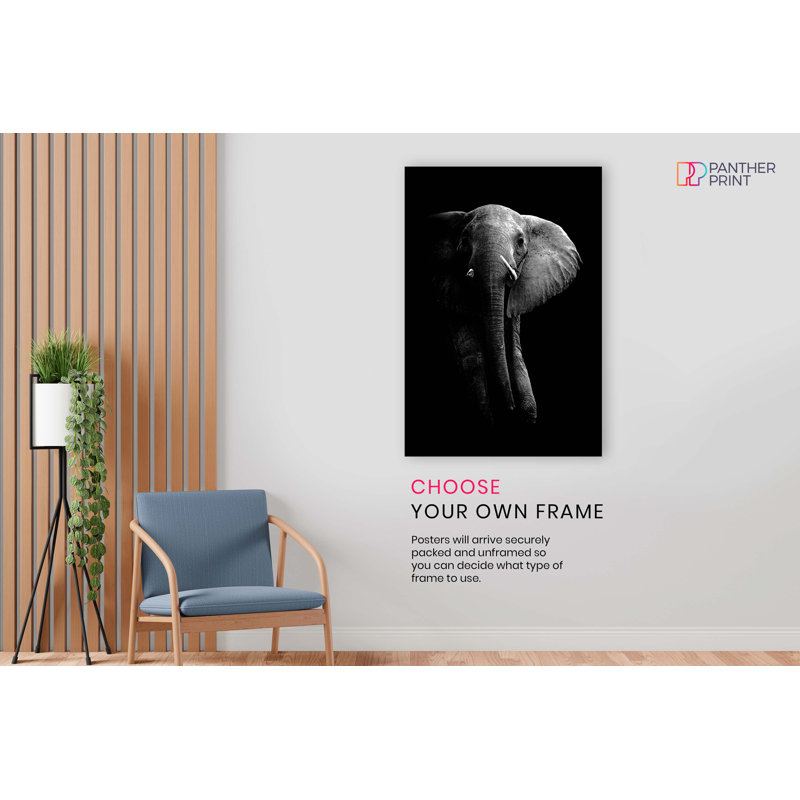 Panther Print Fine Art Prints - No Frame Print, 31cm H x 20cm W