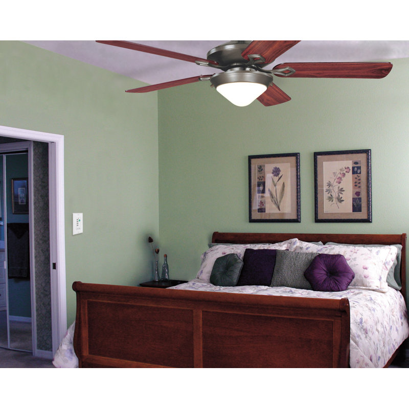 Ayaan Ceiling Fan Wall Control