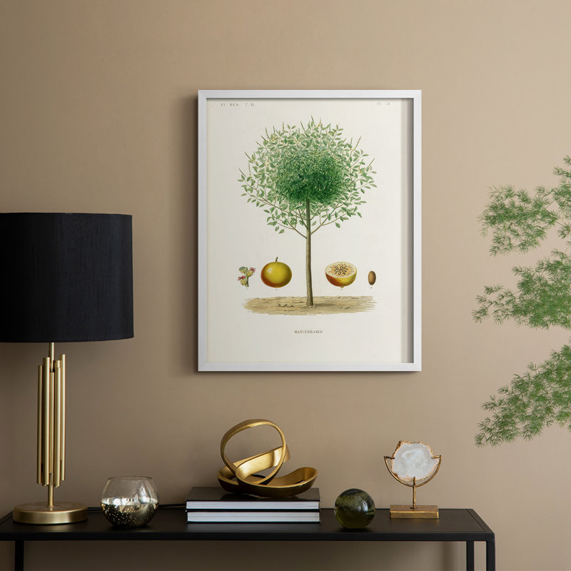 Antique Tree with Fruit VII Framed Print - Solid Wood, 30" H x 24" W, White