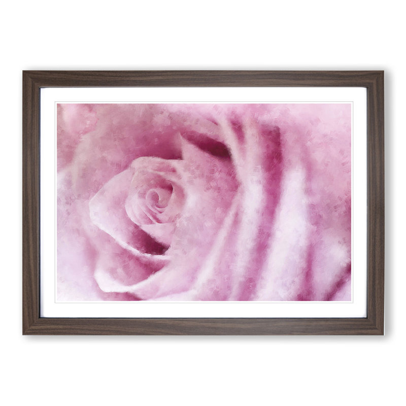 Pink Rose Flower Vol.1 - Framed Print, 48cm H x 65cm W x 2cm D, Walnut Framed