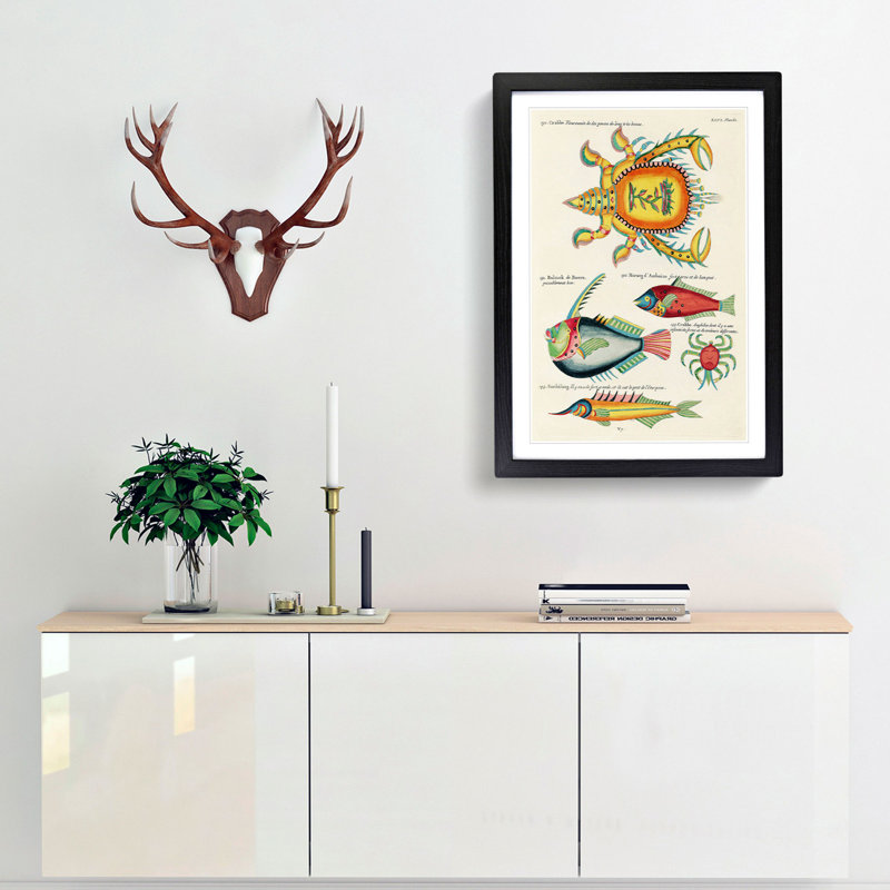 East Indies Fish & Crab Illustrations XLVI by Louis Renard - Picture Frame Painting Print, 65cm H x 48cm W x 2cm D