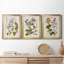 " Vintage Flowering Trees II " 3 - Pieces-428839001-428839006