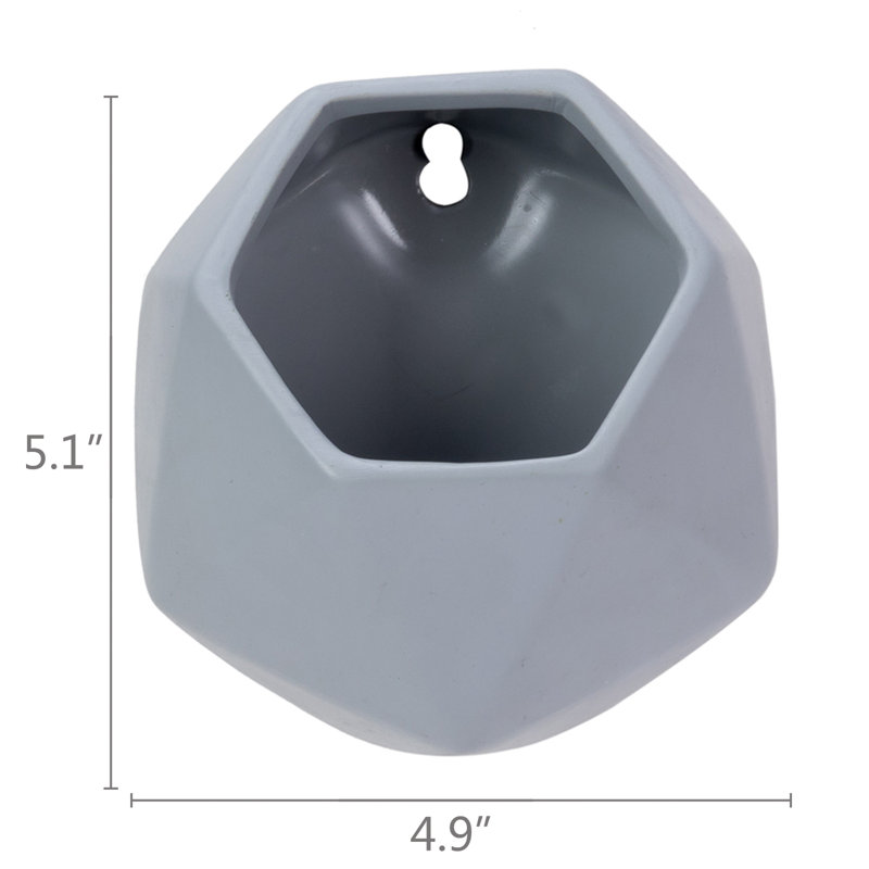 Jonine Ceramic Wall Planter
