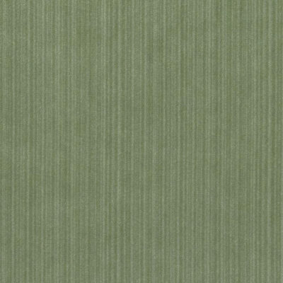 Velvet Encyclopedia IV Fabric