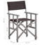 Adreanna Folding Director Chair-1458030711-1458030710