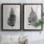 «Forest Fern III», reproduction de cadre photo sur toile 2 pièces-1681076168-1681075765