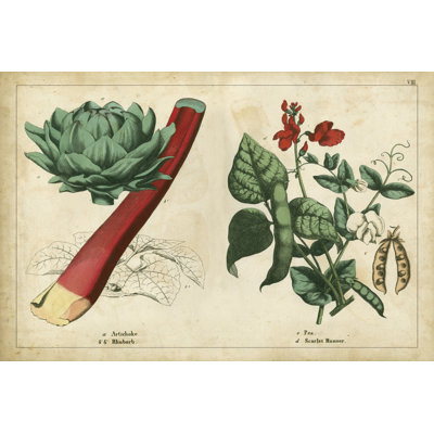 Kitchen Vegetables & Roots II 1 Piece Wrapped Canvas Wall Art