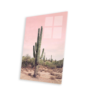 Desert Cactus Blush Print On Acrylic Glass