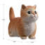 Animals Weather Resistant Polyresin Garden Statue-1696497333