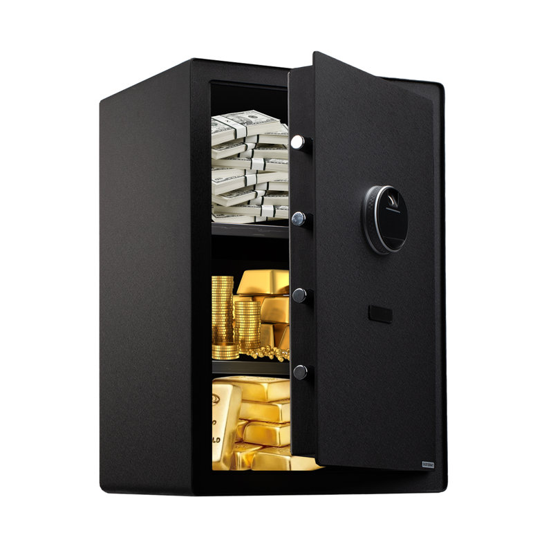 Coffre-fort à empreinte digitale 4,0 pi3, Noir