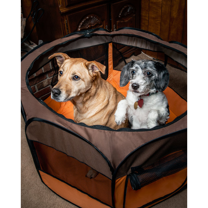  All Terrain' Lightweight Collapsible Travel Dog Pen, Medium, Brown/Orange