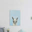 «Jolly Llama III» par Rosalia, reproduction sur toile tendue-474571014