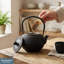 Buckingham Japanese Cast Iron Teapot Tetsubin Hobnail Design