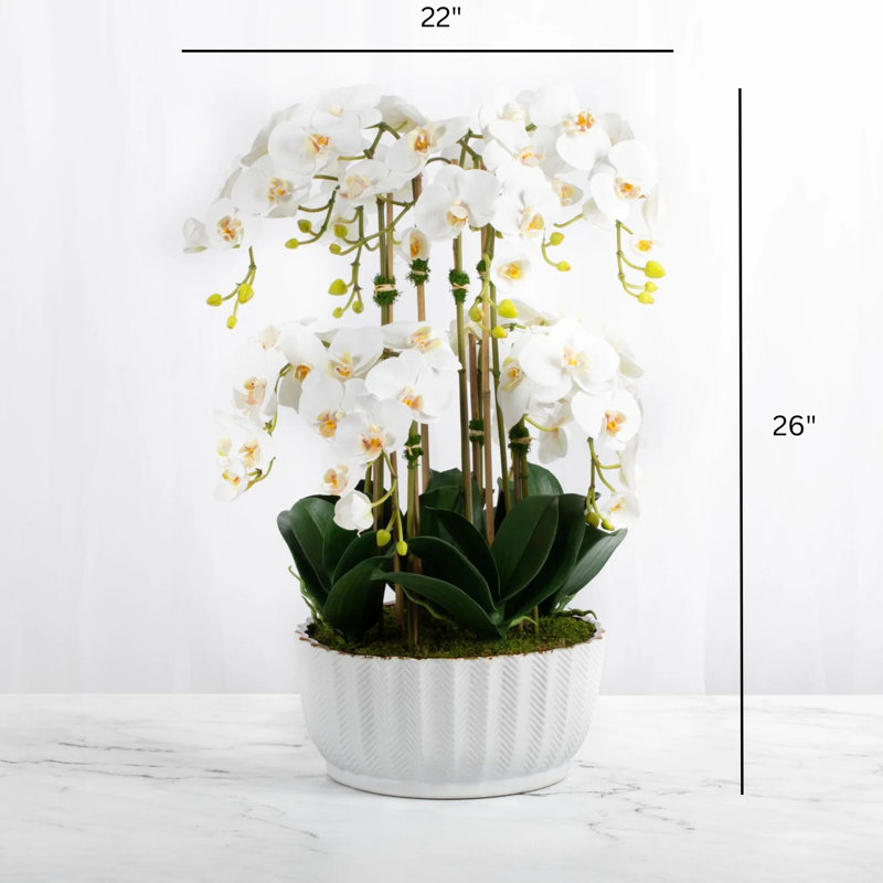 Orchid Floral Arrangements in Planter