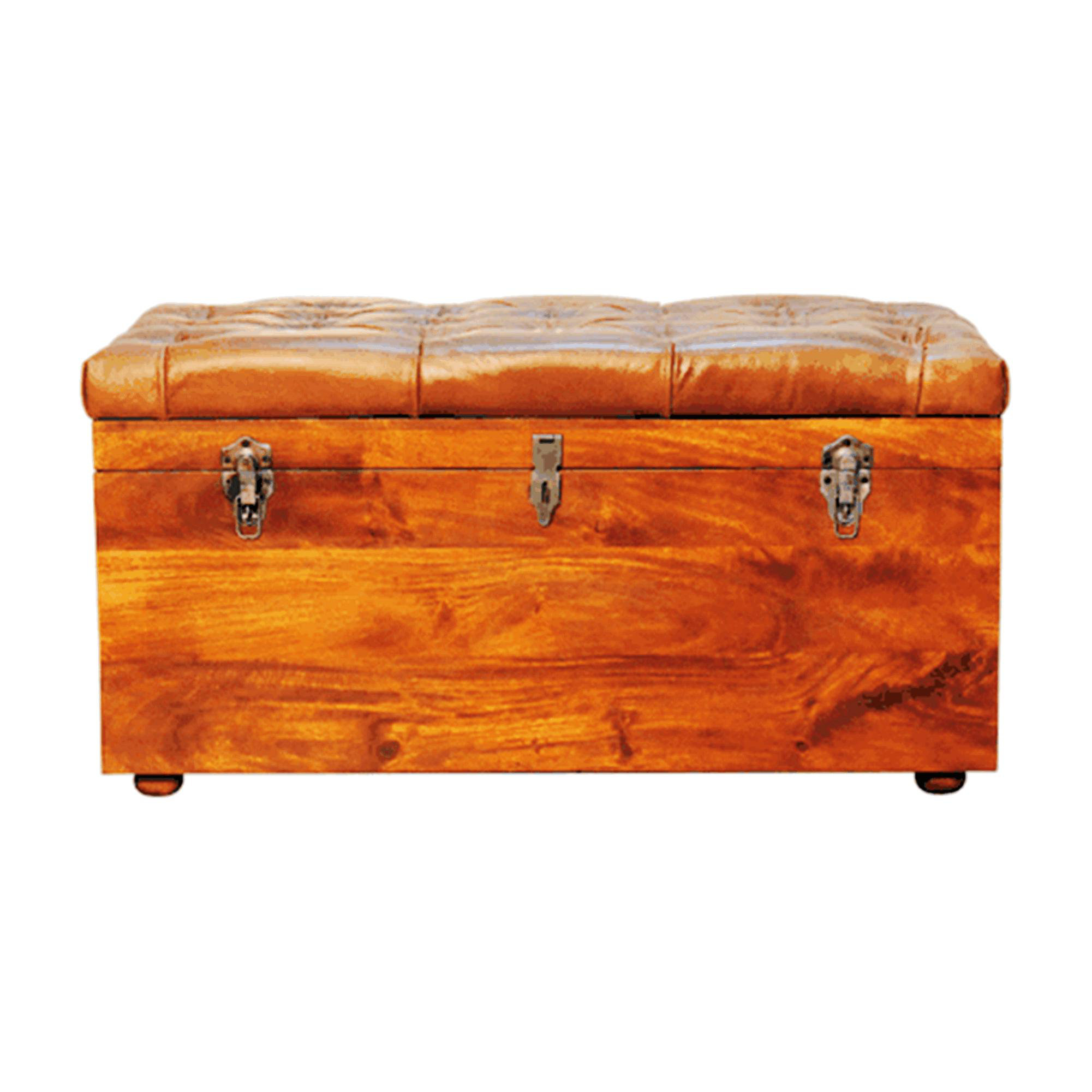 Millwood Pines Multipurpose Hide Storage Trunk and Sturdy Wayfair
