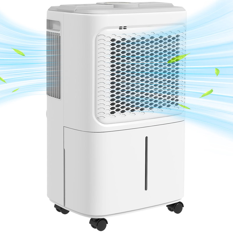 Dehumidifier