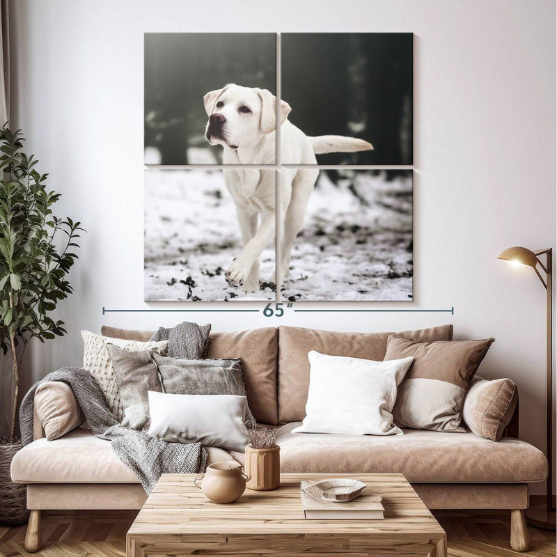 Brampt Labrador Retriever, 50" H x 50" W