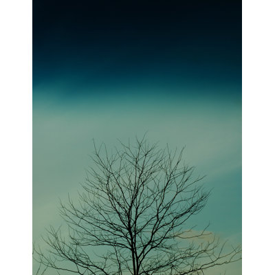 Shades Of Blue #1 Print by Adam Sherbell