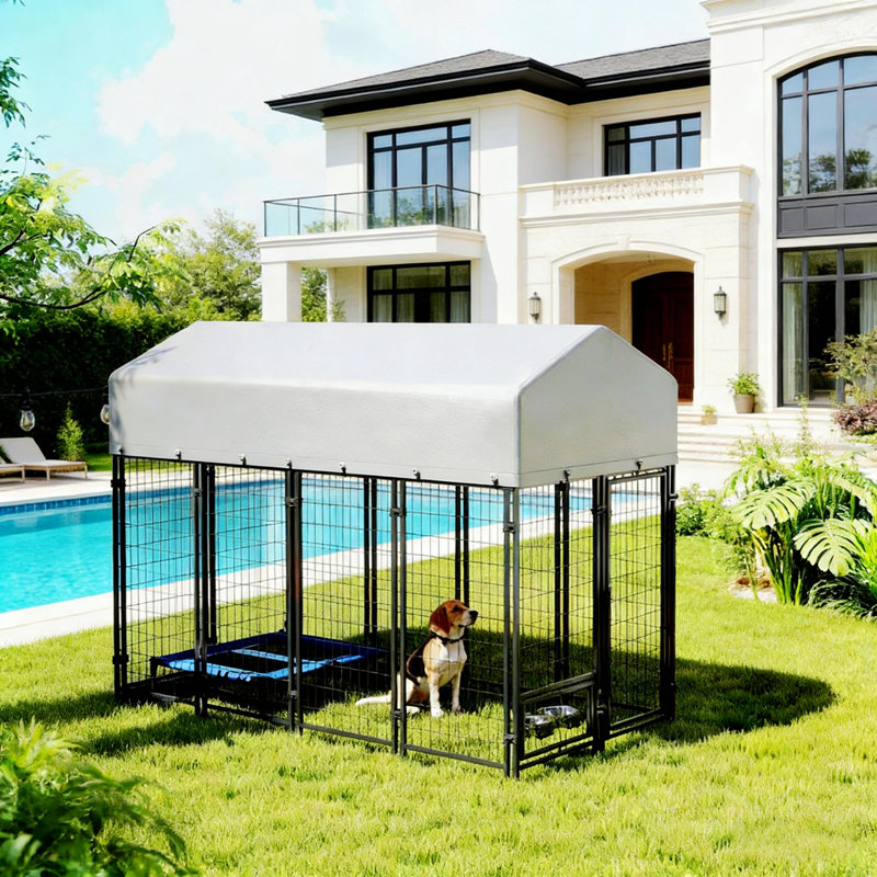 Chenil pour animaux, chenil d'extérieur, H 72 po x l 96,1 po x P 48 po