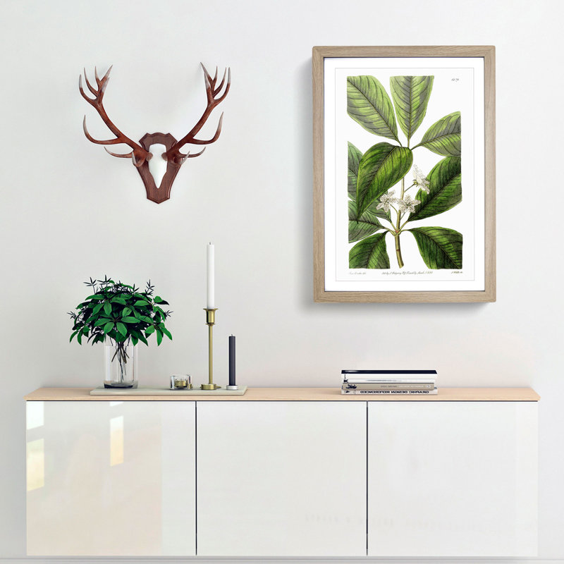 Flowering Tristania Plant - Framed Print, 36cm H x 27cm W x 2cm D, Oak Framed