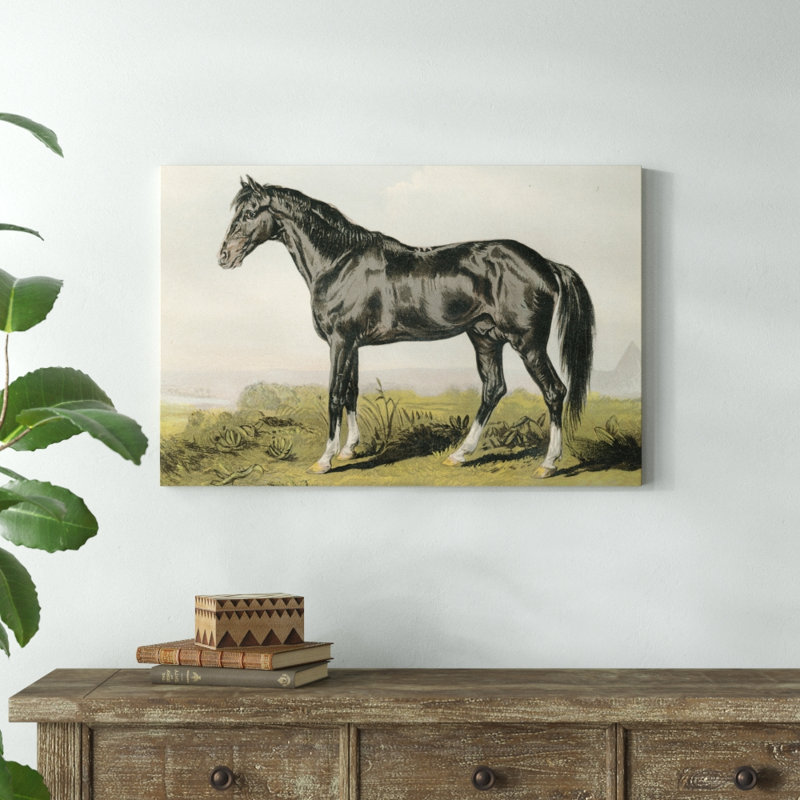Cassells Horse II - Painting Print, 61cm H x 91cm W, Wrapped Canvas