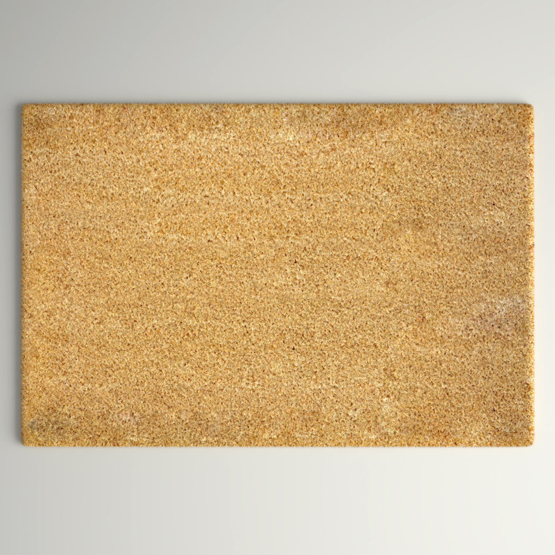 Abeyta Non-Slip Outdoor Doormat, 24" W x 36" L