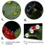 Red Ladybug Portrait I - Animals Wall Art Living Room-964851972-964851983