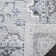 Pennie Performance Oriental Rug