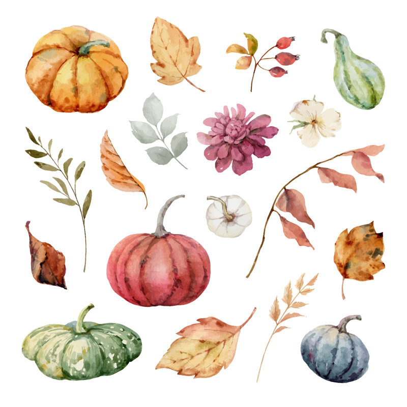 Thanksgiving Vector - Wrapped Canvas Painting, 51cm H x 51cm W x 3.8cm D