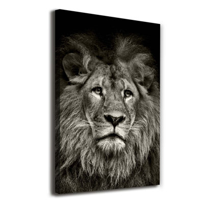Lion - Wrapped Canvas Print