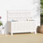 Alpen Home Zellmer 108cm W 113L Solid Wood Deck Box-1154696962
