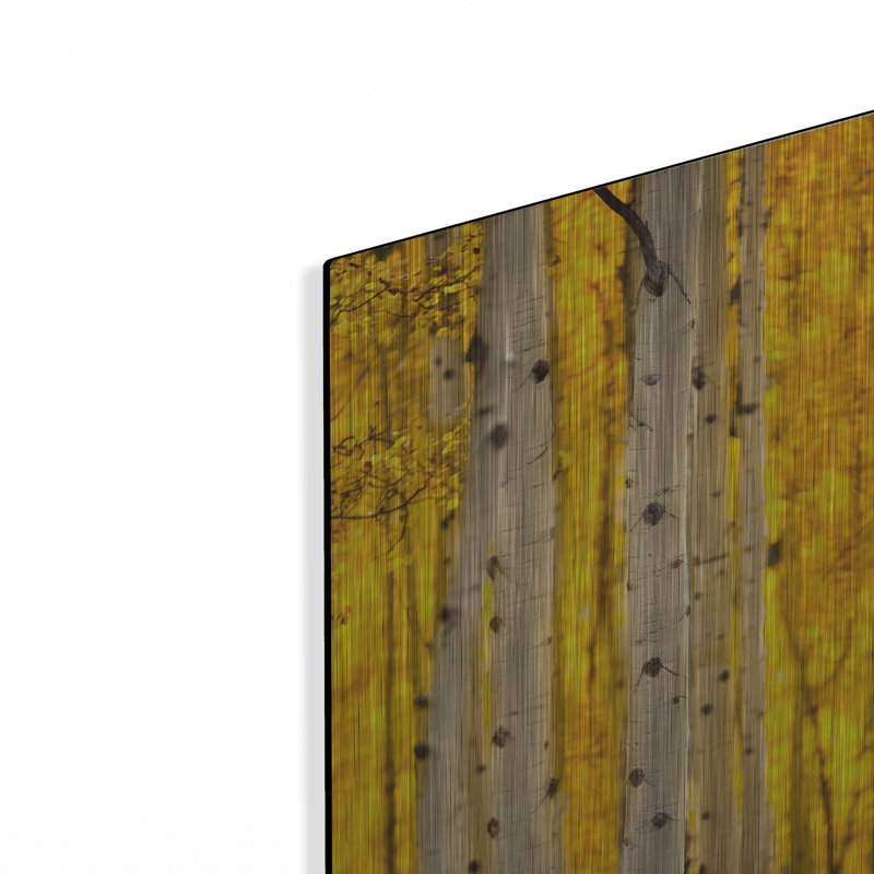 "Aspen Trees" par Jonathan Ross, H 16 po x l 12 po