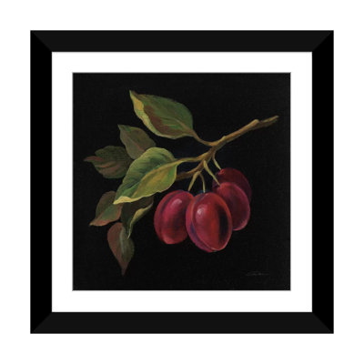 " Prune " by Silvia Vassileva