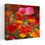 Iceland Poppies Papaver nudicaule in a field Fidalgo Island Washington State USA 1 Piece Wrapped Canvas Wall Art-612880461