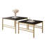 Coffee Table with Storage