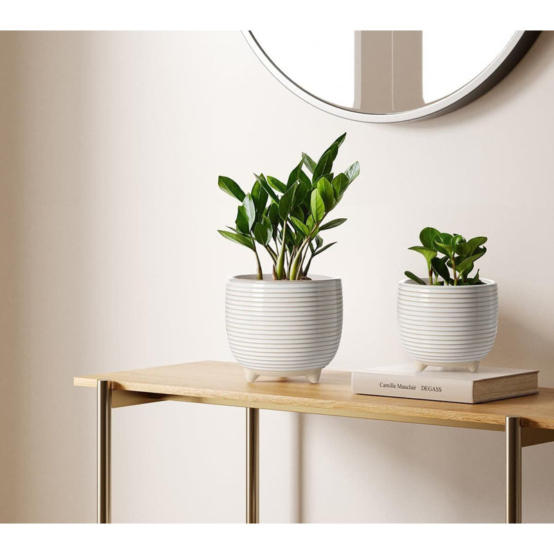 Ceramic Pot Planter, White