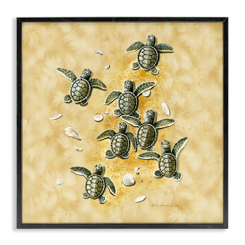 Baby Sea Turtles Shore, estampe numérique de Art Brands, LLC., Giclée encadrée noir minuit, H 17 po x l 17 po