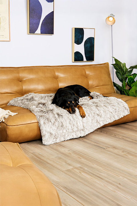Pet Blankets
