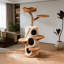 Structure d'escalade simple et tendance pour chat