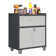 Ishia 29.5” W Metal Garage Storage Cabinet with Adjustable Shelves - Durable Tool Cabinet.