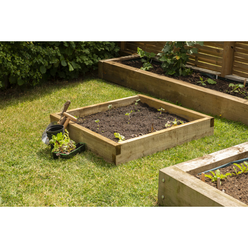 Caledonian Wood Raised Garden Bed