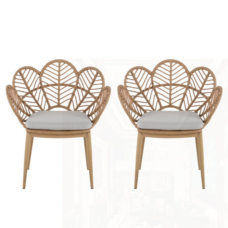Outdoor Wicker Chair Set Of 2
