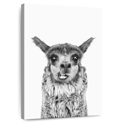 Brampt Happy Alpaca In Black And White