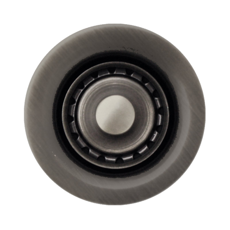 Whitehaus 2" Kitchen Basket Strainer, Titanium