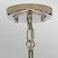 Badger 5 - Light Unique/Statement Chandelier