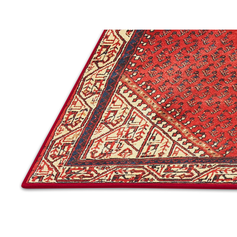 Tapis traditionnel mehroon/noir/crème Annalotta, Rectangle 5 pi x 7 pi